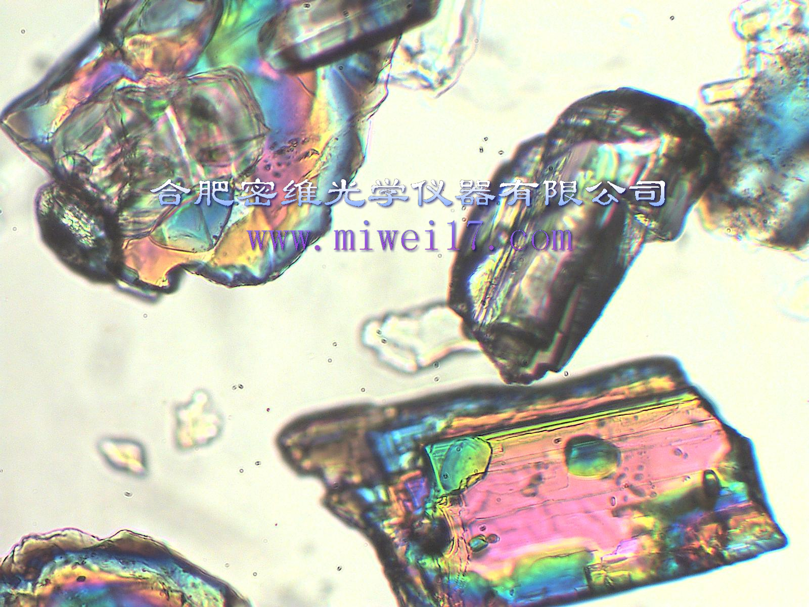 ���I(y��)����(w��) �ɾͿ͑�